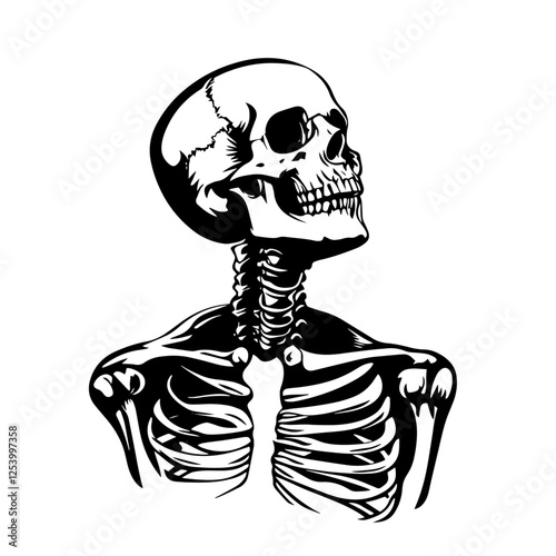 upper human skeleton with skull and ribs in black and white vintage sketch style