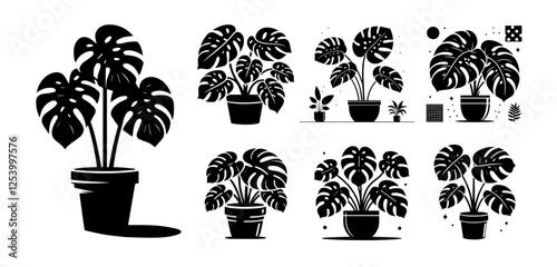black and white vector set of monstera plants in decorative pots in bold silhouette style