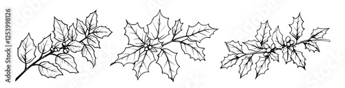 Maple Leaf Branches Vector Line Art