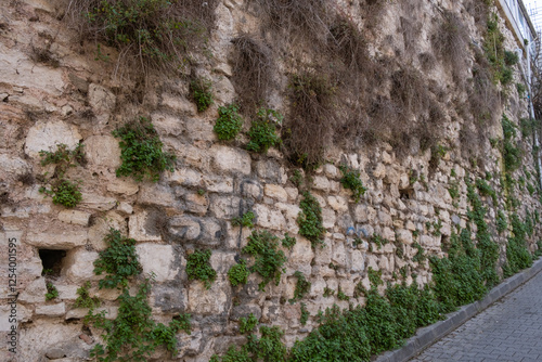 An old stone wall covered in green plants, with narrow street background. Weathered stone wall with creeping vegetation, standing beside paved walkway