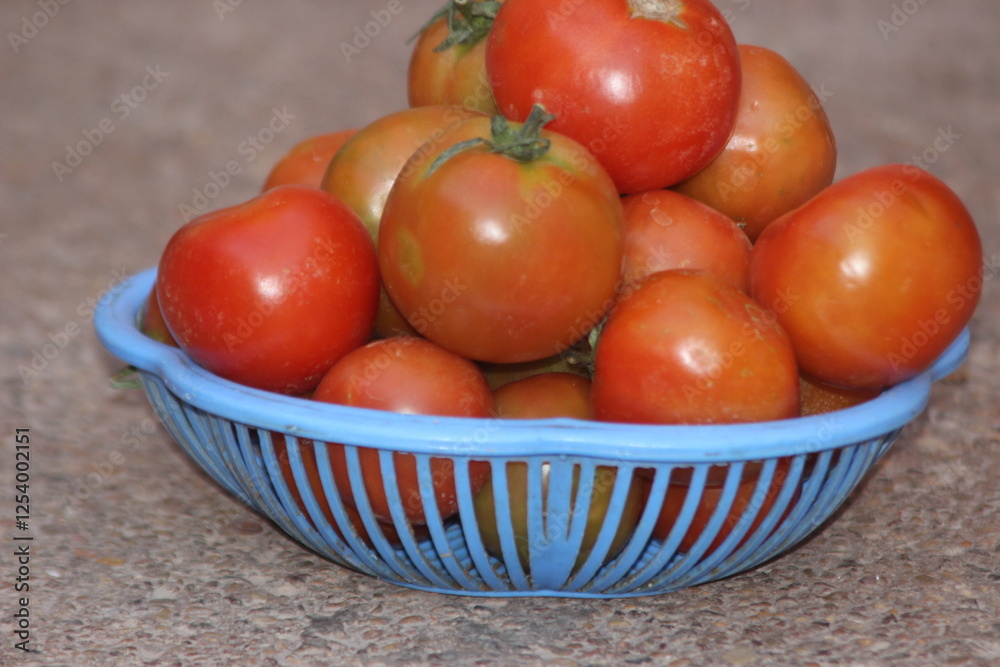 Fresh Tomatoes in a Plastic Basket Fresh Tomatoes in a Plastic Basket