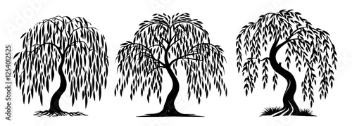 Weeping Willow Silhouette Collection Vector