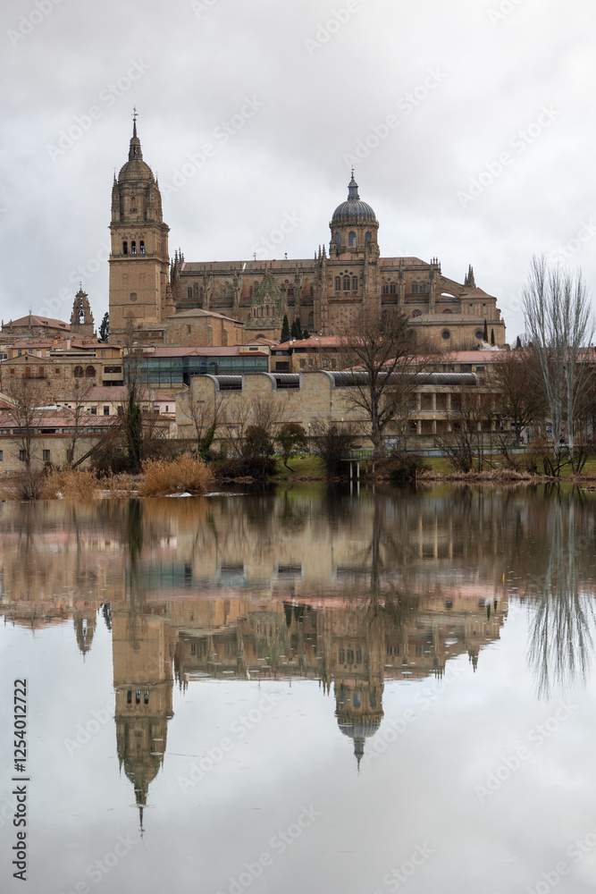 Scenic View of Salamanca with Reflections in Water Scenic View of Salamanca with Reflections in Water