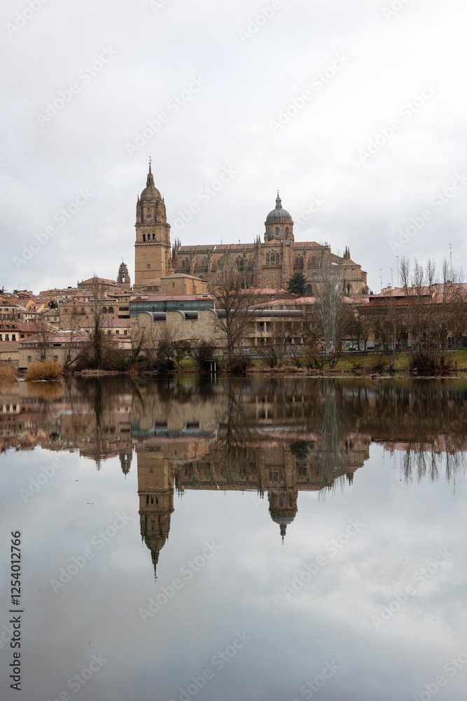 Scenic View of Salamanca with Reflections in Water Scenic View of Salamanca with Reflections in Water