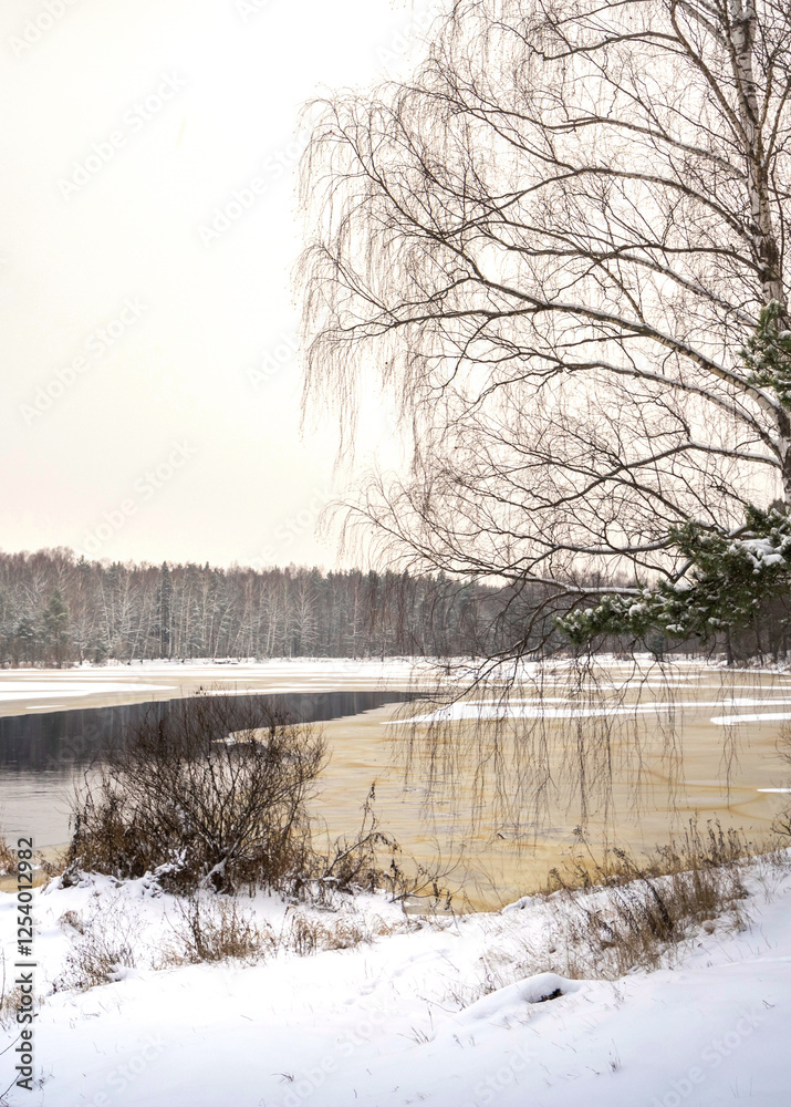 Snowy landscape with a tree in the foreground Snowy landscape with a tree in the foreground