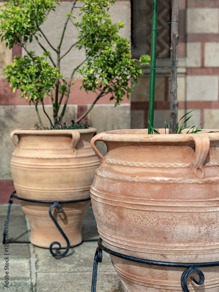 Fototapeta premium Two large orange vases with green leaves in them