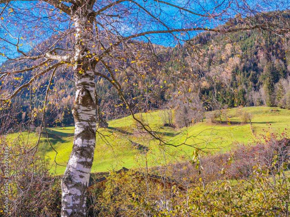 Fototapeta premium bright autumn landscape, view of the Austrian Alps. road to Italy on sunny day.