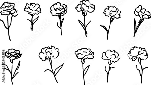 A collection of hand-drawn carnation flowers in various poses, showcasing their delicate petals and slender stems. 