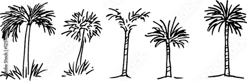 A collection of five hand-drawn palm trees, varying in height and style. Each tree features a distinct crown of leaves and a slender trunk, showcasing artistic interpretations of tropical flora.