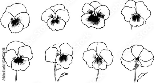 A collection of eight black and white illustrations of pansy flowers, showcasing different angles and details of the petals and stems.