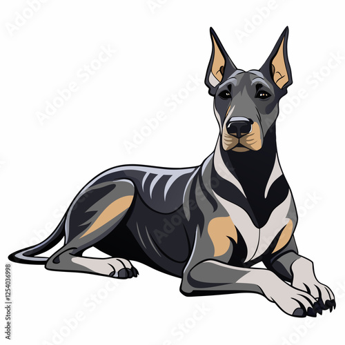  great dane dog isolated on white, Color vector illustration. Pet animal, Cartoon Vector 