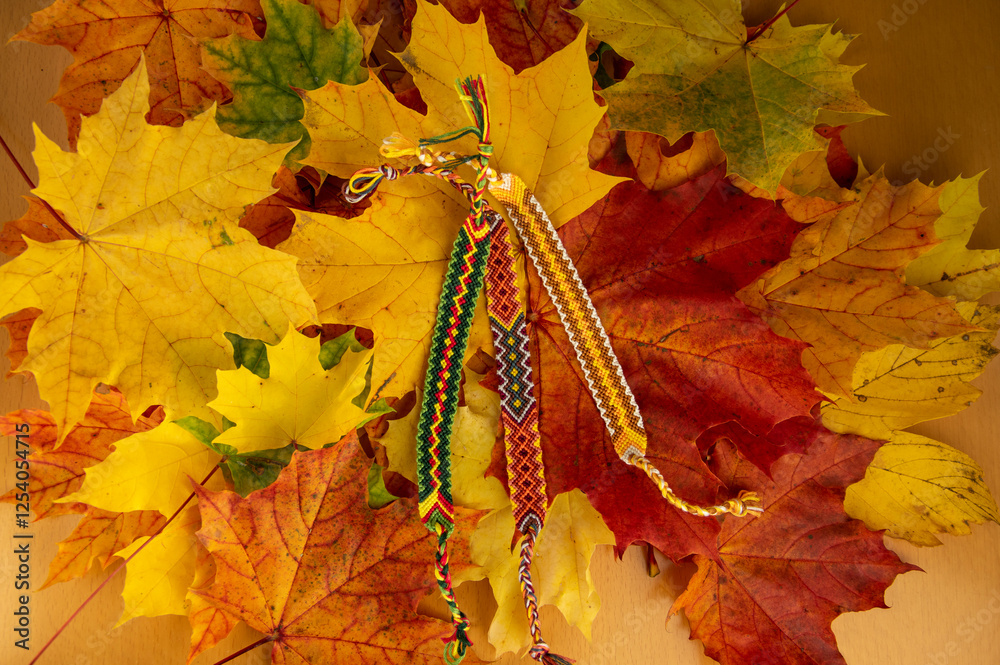 Handmade homemade colorful natural woven bracelets of friendship isolated on autumnal leaves background, beautiful bright colors