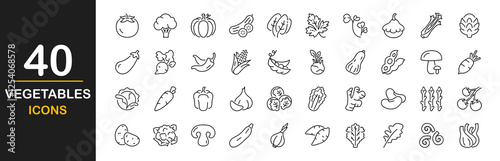 Vegetable icon set. Contains such Icons as tomato, cucumber, cauliflower, eggplant, radish, mushroom, ginger, broccoli, corn, celery, garlic and more. Vector illustration