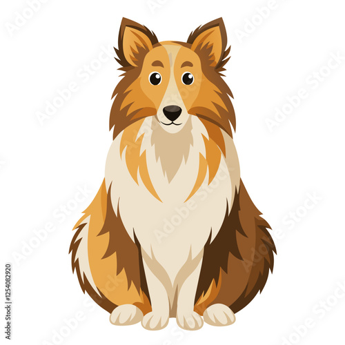 shetland sheepdog isolated on white, Color vector illustration. Pet animal, Cartoon Vector 