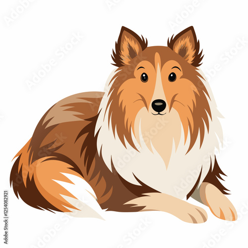 shetland sheepdog isolated on white, Color vector illustration. Pet animal, Cartoon Vector 