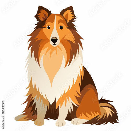shetland sheepdog isolated on white, Color vector illustration. Pet animal, Cartoon Vector 
