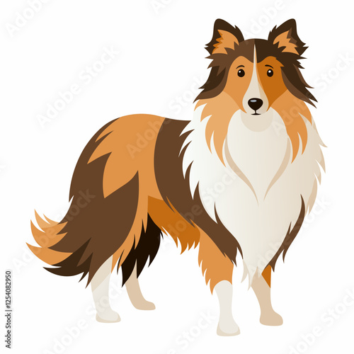 shetland sheepdog isolated on white, Color vector illustration. Pet animal, Cartoon Vector 
