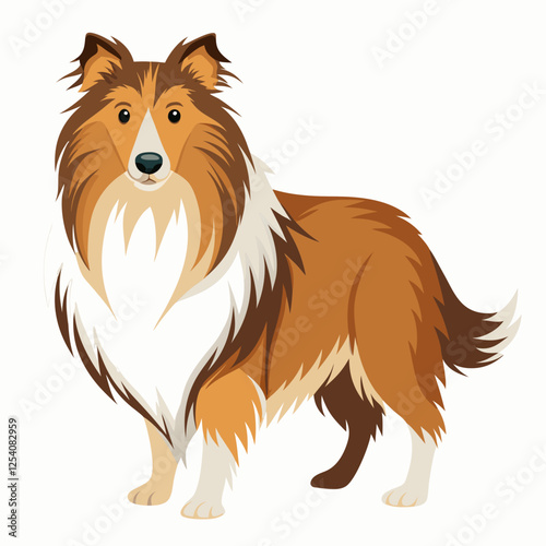 shetland sheepdog isolated on white, Color vector illustration. Pet animal, Cartoon Vector 