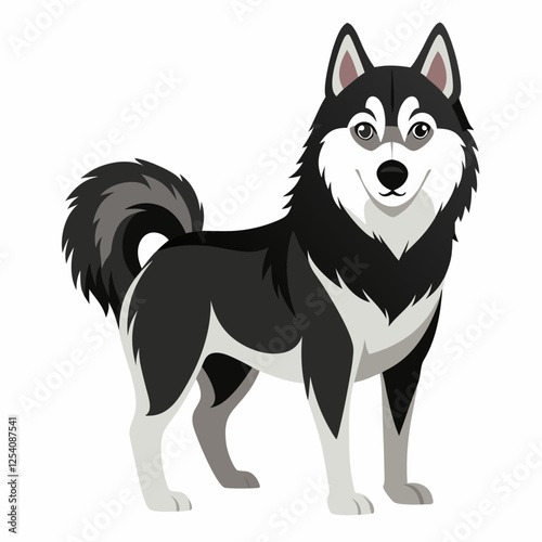 siberian husky dog isolated on white, Color vector illustration. Pet animal, Cartoon Vector 