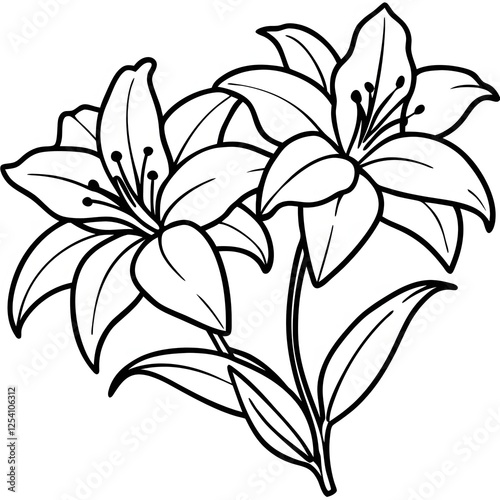 Two Lilies Line Art, Black and White Illustration

