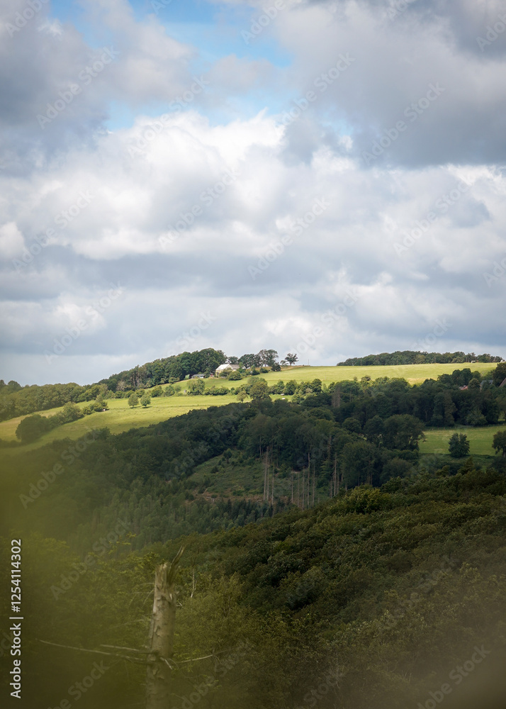 Naklejka premium Forest hilltop with leaf trees and bright green grass field with blue cloudy sky in the background, North Rhine-Westphalia, Germany