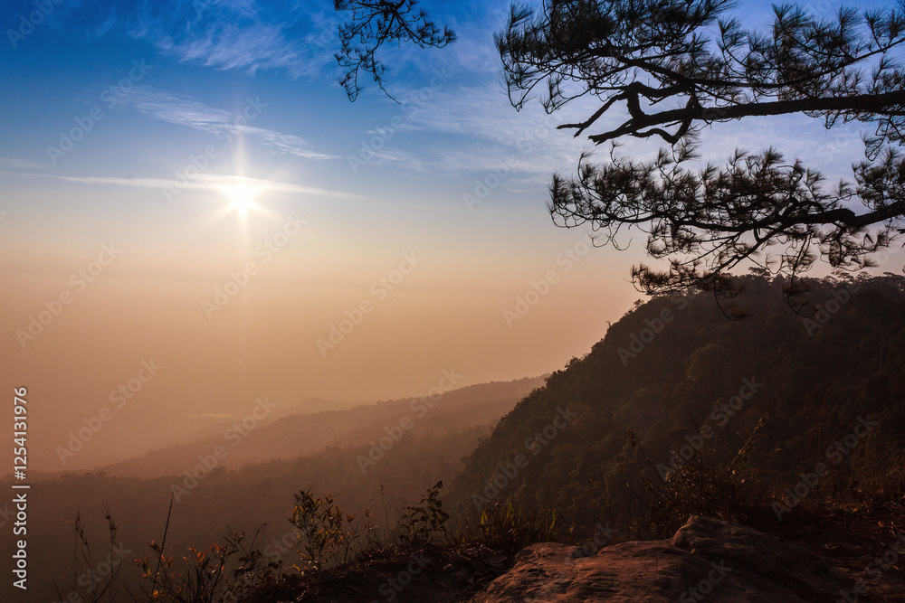 Obraz premium Nature Landscaps and Sunset 