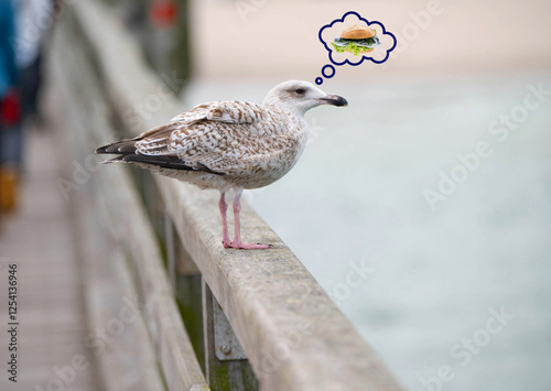 Möwe mit Fischbrötchen