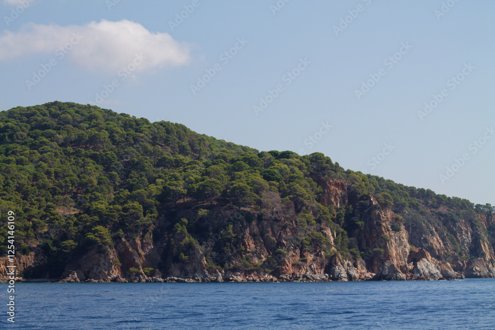 Lush Green Hillside by the Sea Lush Green Hillside by the Sea