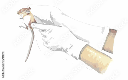 Artistic illustration in vector format, of a mouse being held by hands with latex gloves to examine it, done by hand for sampling protocols of small mammals