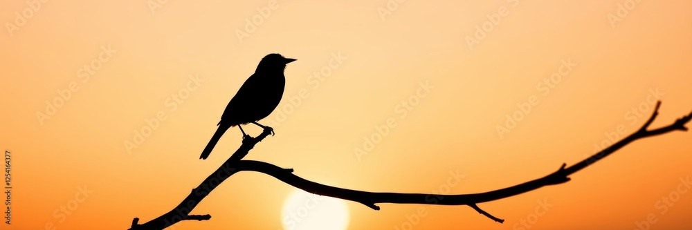 Fototapeta premium Bird silhouette with a serene mood perched on a branch against a sunset background