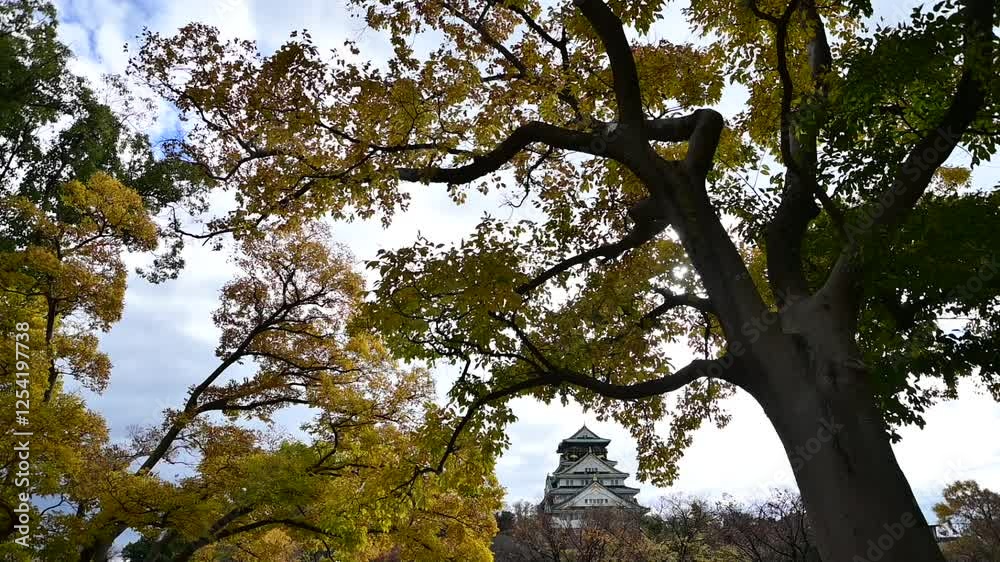 秋の大阪城 （大阪府大阪市, 2024年12月）