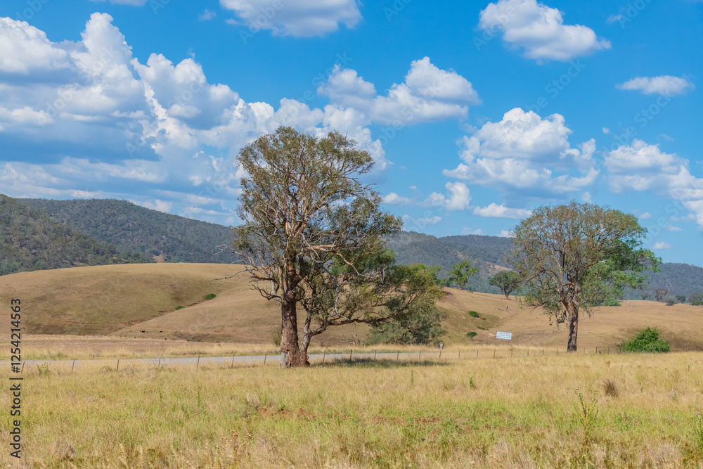 Late Summer Countryside in the Southern Tablelands Late Summer Countryside in the Southern Tablelands