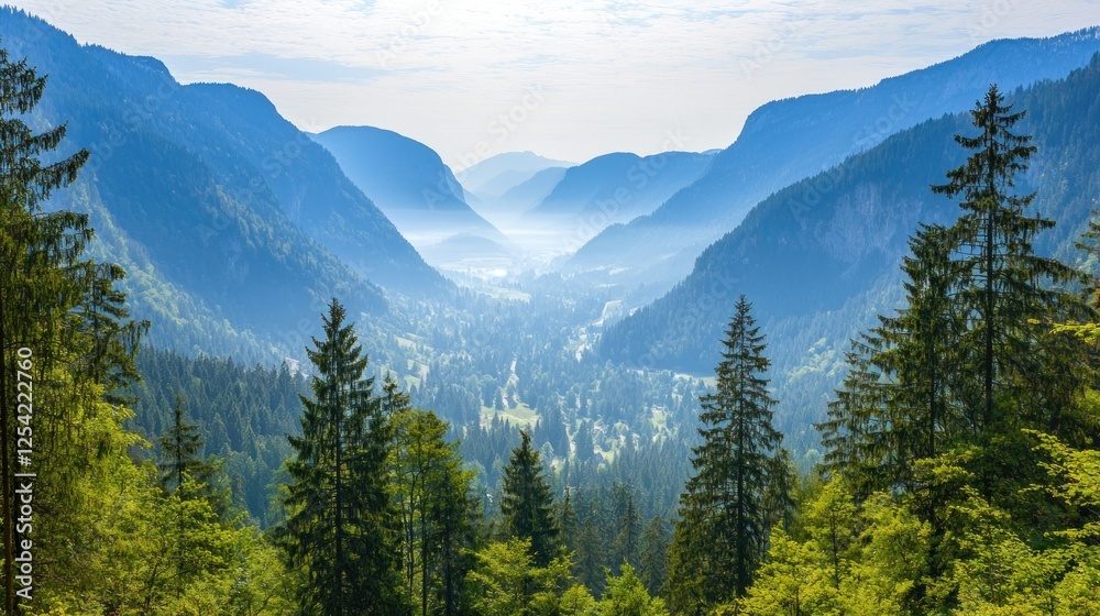 Fototapeta premium Mountain valley vista, lush forests, tranquil scene, scenic view, nature's beauty, great for backgrounds
