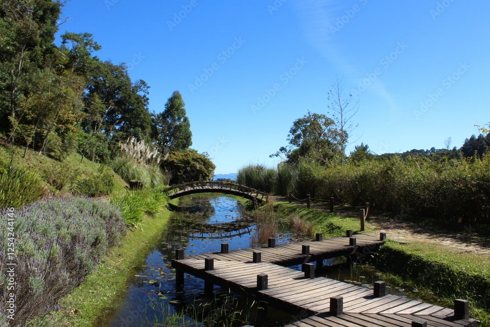 Fototapeta premium bridge in the park