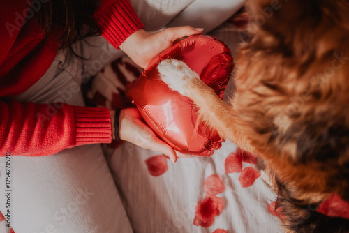 Adorable Dog with Valentine’s Petals on Bed