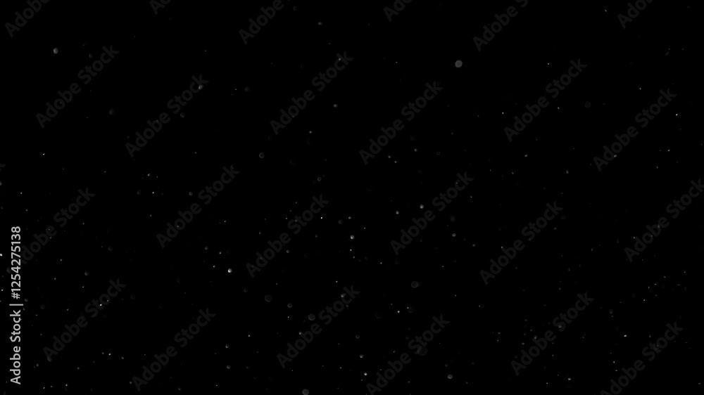 Natural Organic Dust Particles Floating On Black Background. Glittering Sparkling Particles Randomly Spin In The Air With Bokeh. Dynamic Particles With Fast And Slow Motion. Shimmering Dust In Space. Natural Organic Dust Particles Floating On Black Background. Glittering Sparkling Particles Randomly Spin In The Air With Bokeh. Dynamic Particles With Fast And Slow Motion. Shimmering Dust In Space.