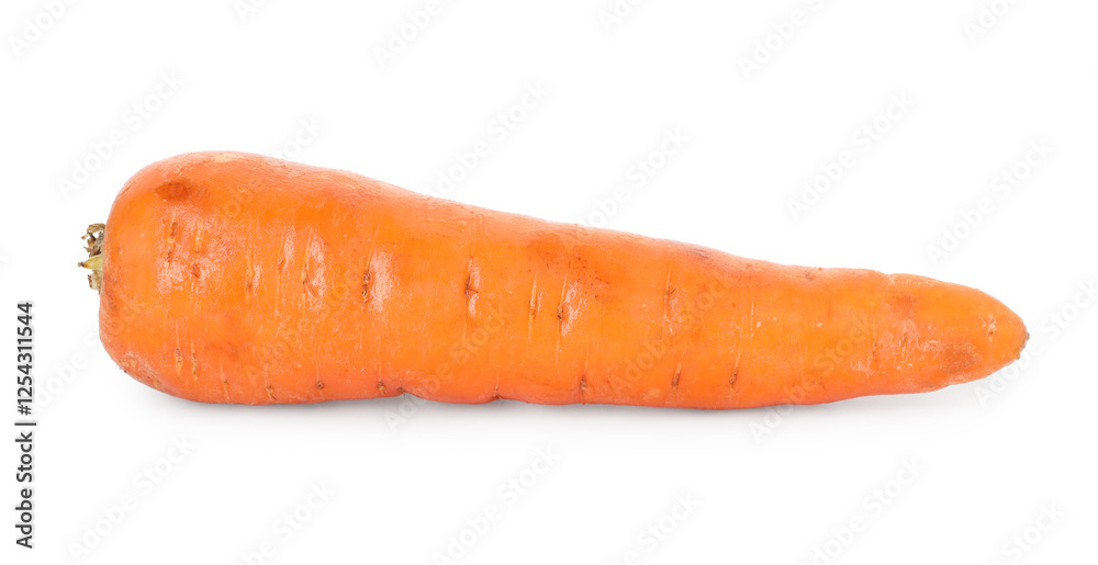 One fresh carrot isolated on white. Root vegetable One fresh carrot isolated on white. Root vegetable