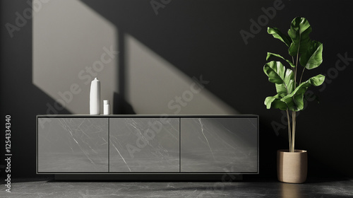modern beige    sideboard made of wood  isolated on black  wall background and  plants in pot 