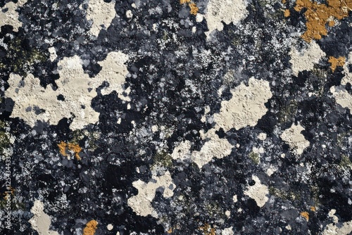 Abstract texture of weathered surface featuring patches of white, black, and yellow, suitable for backgrounds or patterns photo