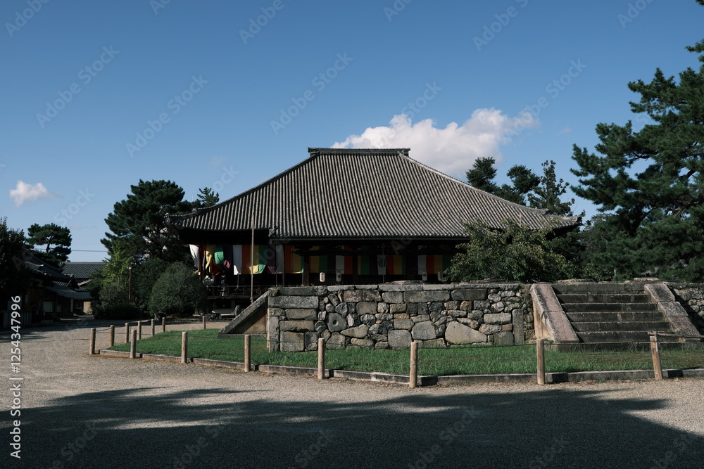 西大寺本堂と東塔跡 西大寺本堂と東塔跡