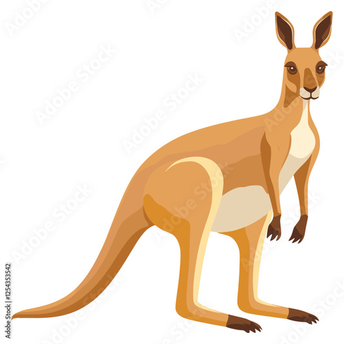 Kangaroo illustration animal art vector