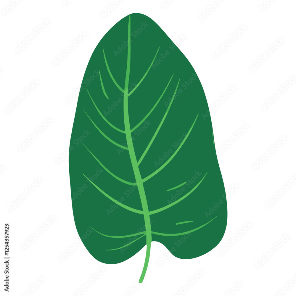 Tropical leaves leaf illustration nature vector Tropical leaves leaf illustration nature vector