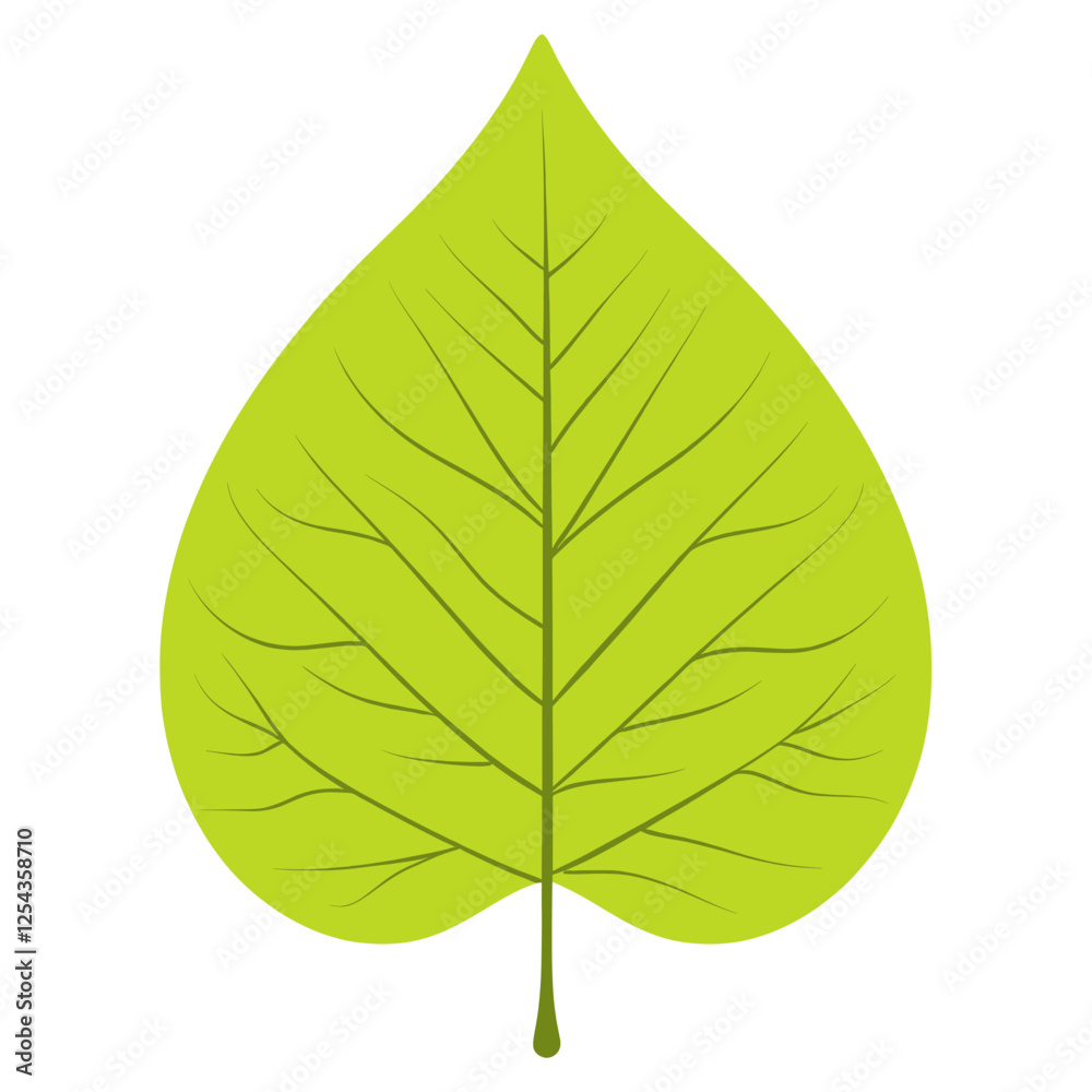 Obraz premium Green lime aspen leaf illustration eco-friendly botanical vector
