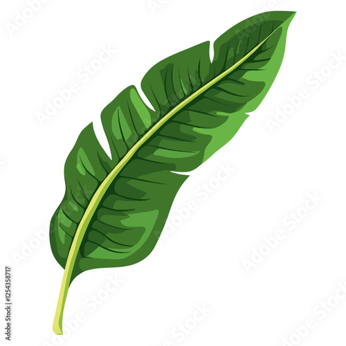 Long curve tropical leaf illustration plant botanical vector