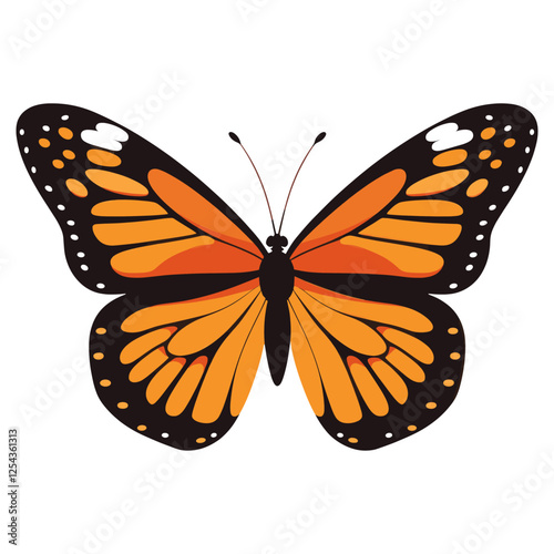 Monarch butterfly illustration insect art vector