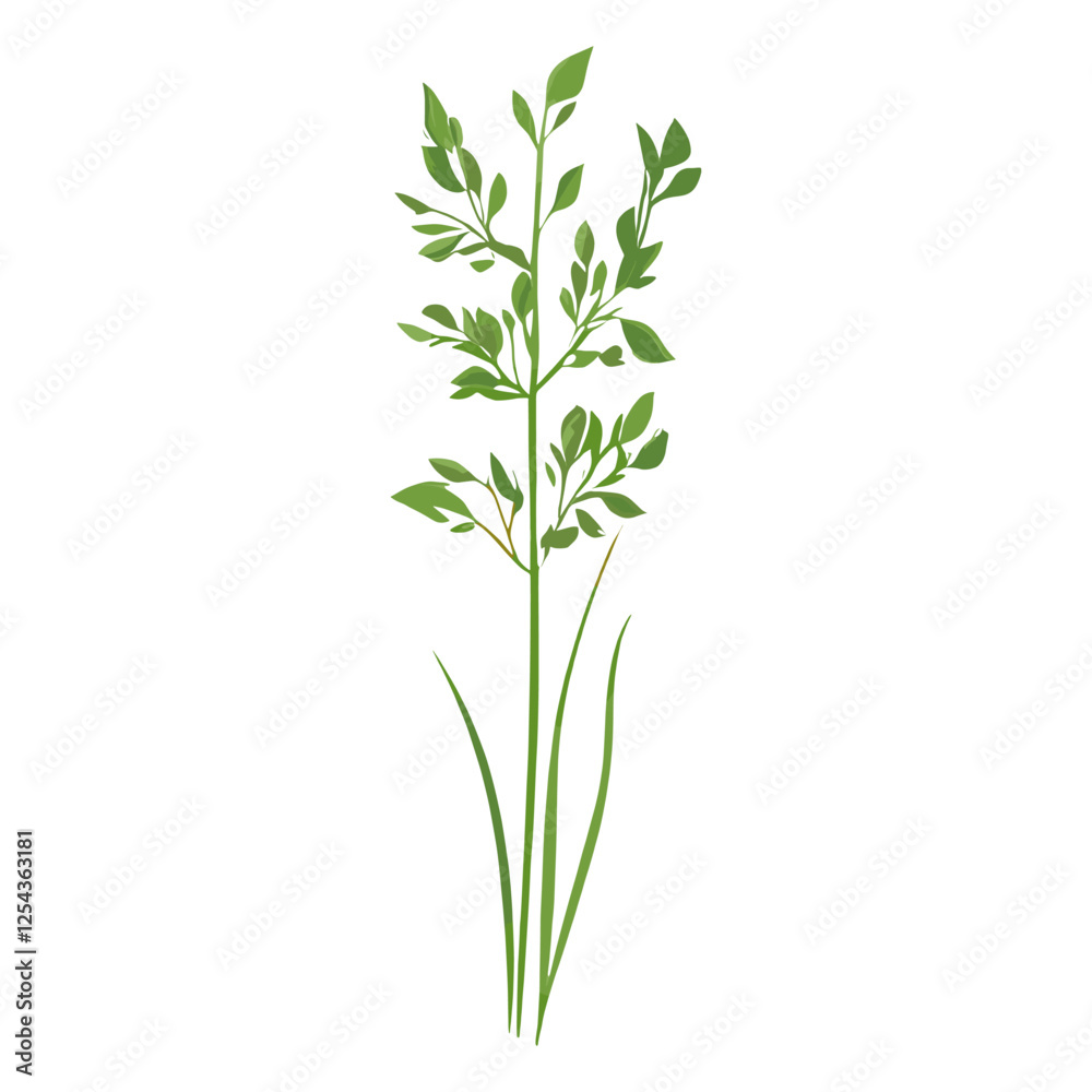 Flat vector of green grass plant leaf art vector Flat vector of green grass plant leaf art vector