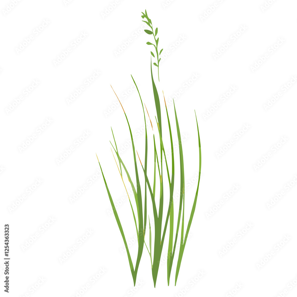 Flat vector of green grass plant illustration minimalist vector Flat vector of green grass plant illustration minimalist vector