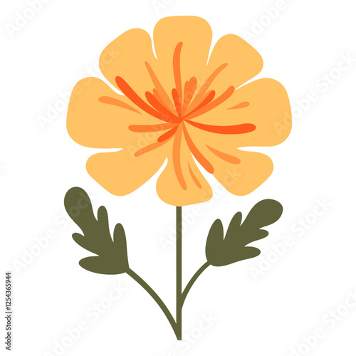 Marigold flower illustration simple design vector
