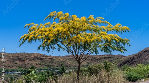 Blooming Yellow Tree, Hillside Village, Sunny Day, Nature photo