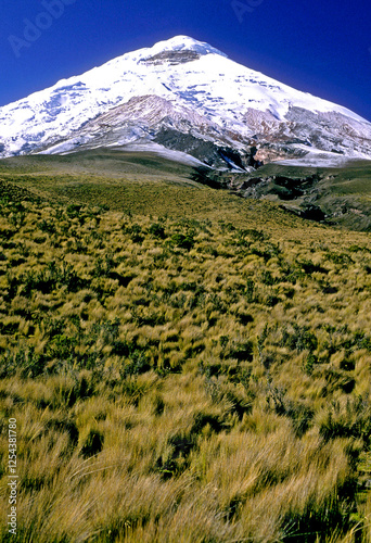 Vulcão no Parque Nacional Cotopaxi. Equador.